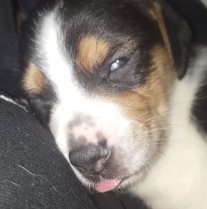 Meet your Posher, Madison